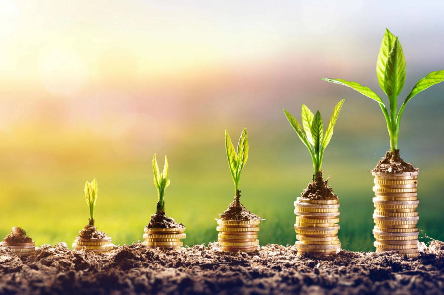 20190910104502-greencurrency-162