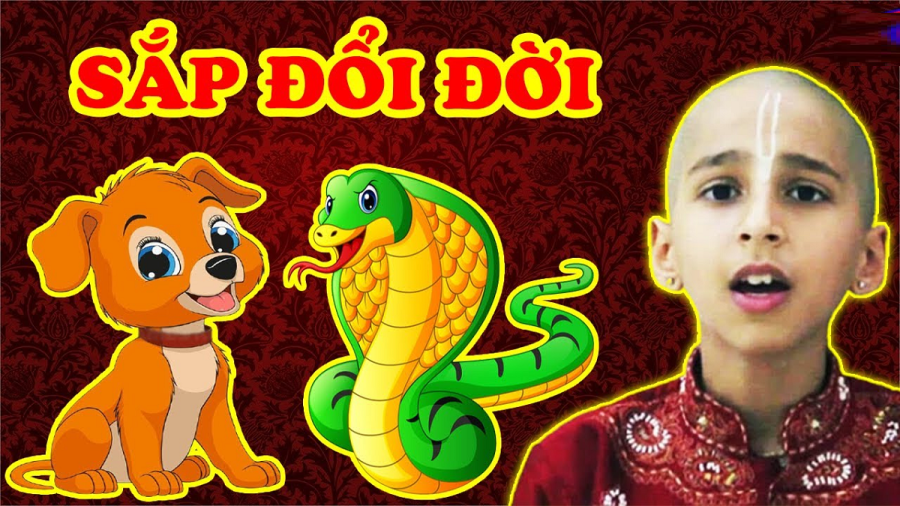 con-giap-co-duc