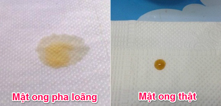 phan-biet-mat-ong-that-gia-05