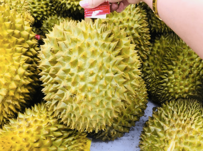 meo-chon-sau-rieng-04