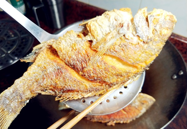 meo-chien-ca-nguyen-con-khong-vo-nat-khong-ban-dau-04