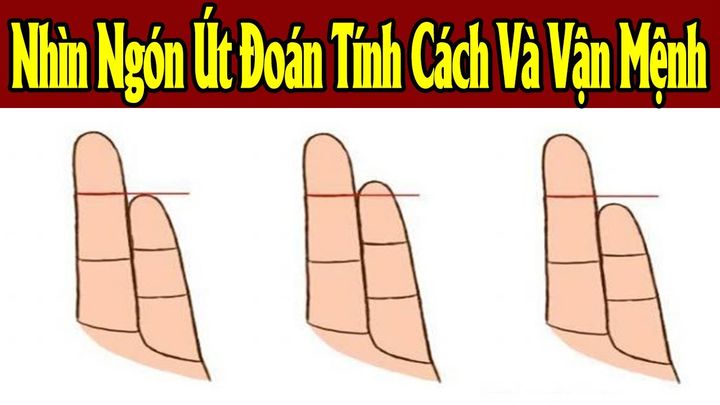 ngon ut