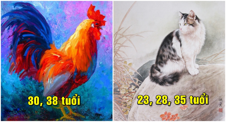 con-giap-thanh-cong-muon