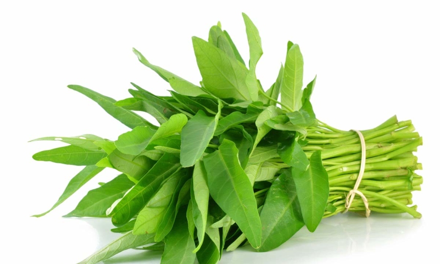 rau-muong-01