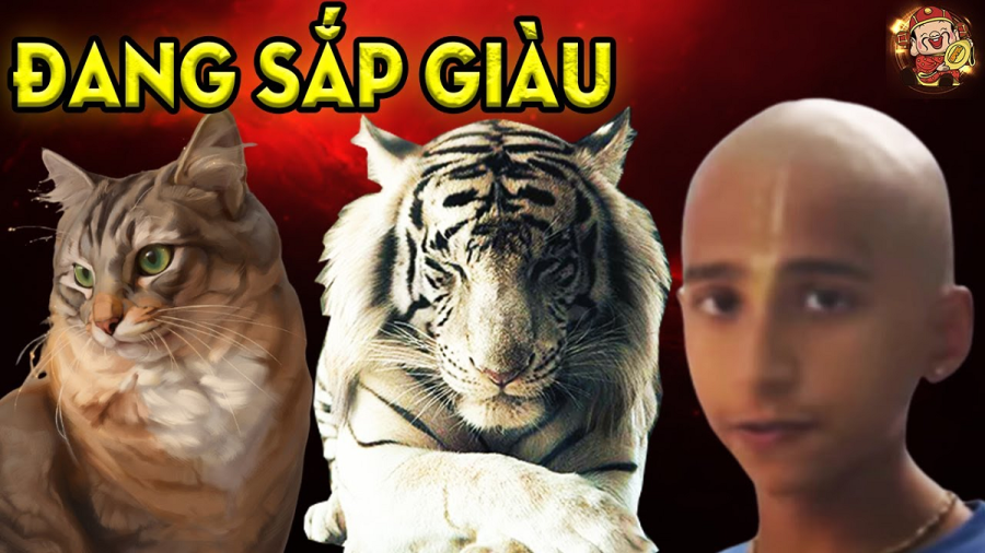 con-goap-giau-sau-dem