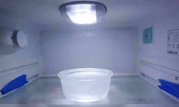 dat-bat-nuoc-vao-tu-lanh-02