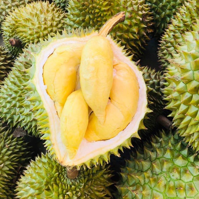 meo-chon-sau-rieng-03