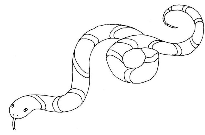 tu-vi-02
