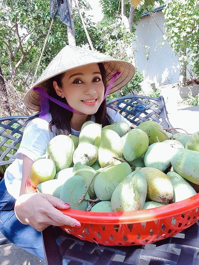viet trinh gian di