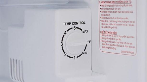 tu-lanh-co-2-nut-nho-01