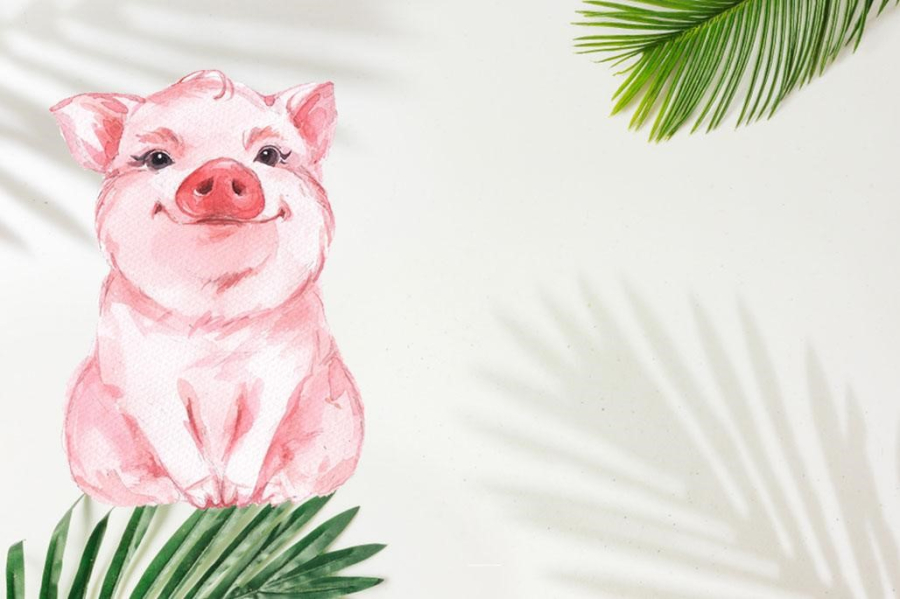 tu-vi-02