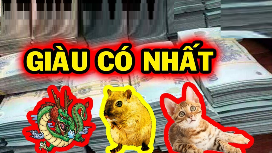 con-giau-giau-sang1
