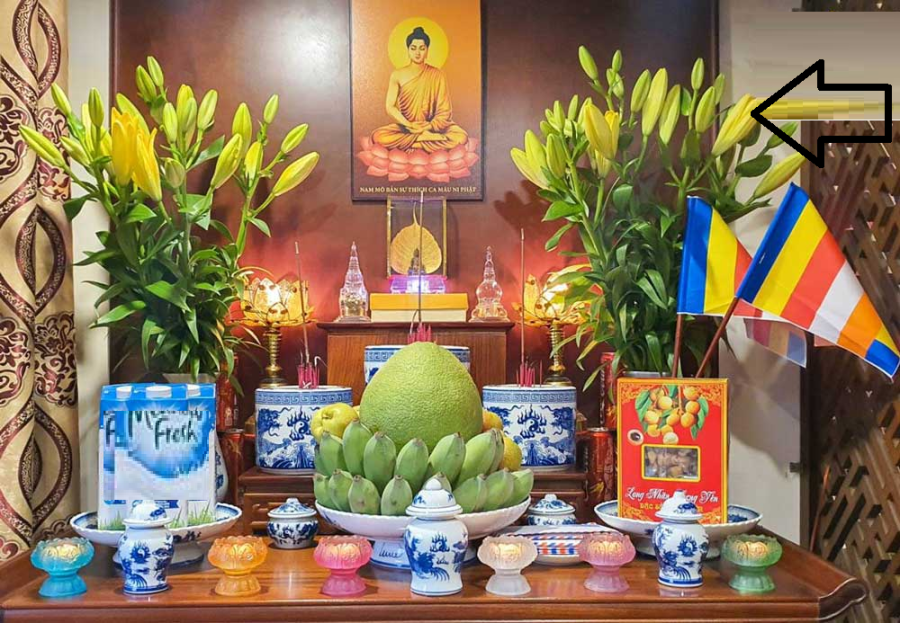 hoa-cung-bao-nhieu-bong