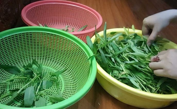 meo-xao-rau-muong-01