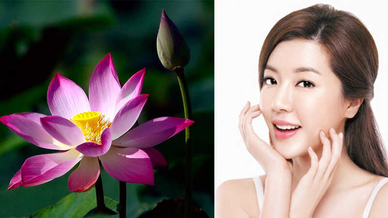 cach-duong-da-trang-hong-min-mang-sach-mun-bang-hoa-sen-202201141328007767