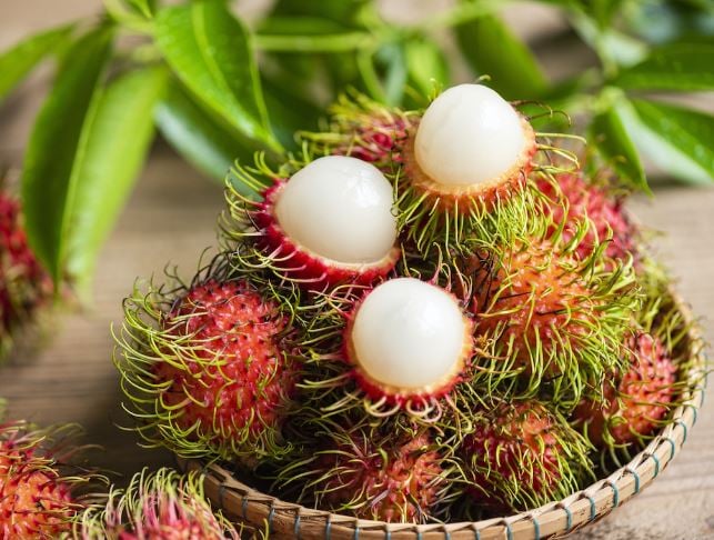loai-qua-cung-tet-doan-ngo-04