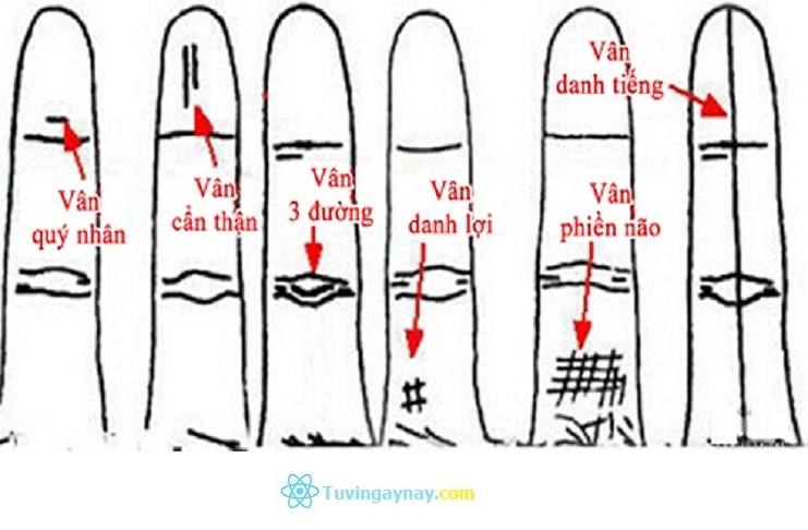 xem-duong-van-ngon-tay-ap-ut-doan-biet-su-thanh-bai-trong-su-nghiep-bc4-5508206