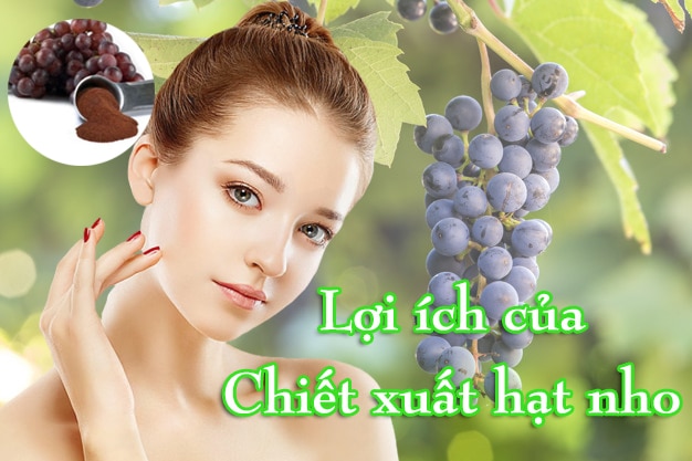 loi ich cua hat nhp