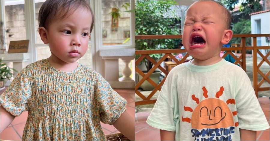 hai con cua ho ngoc ha