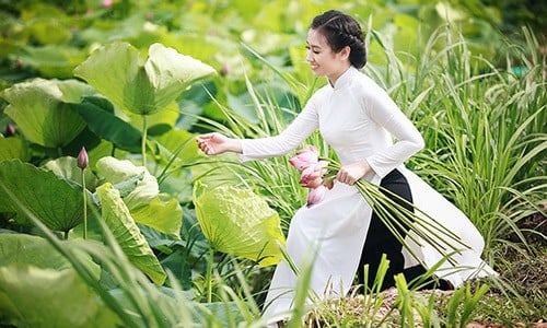 (ảnh minh họa)