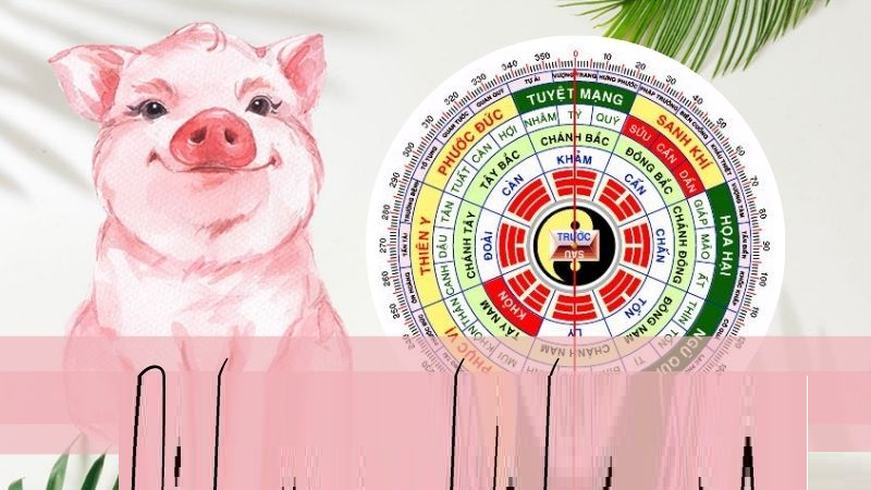 tuoi-hoi