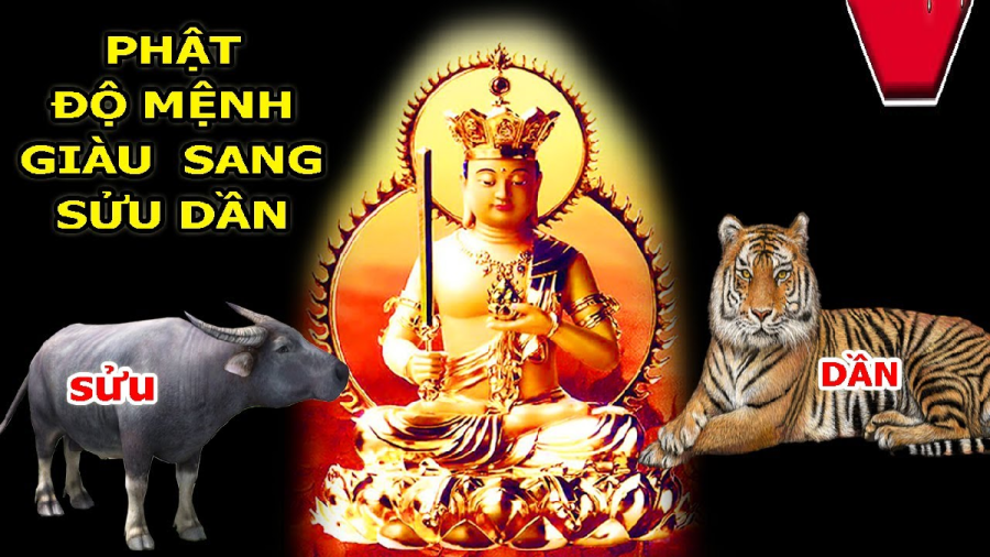 tuoi-dan-suu