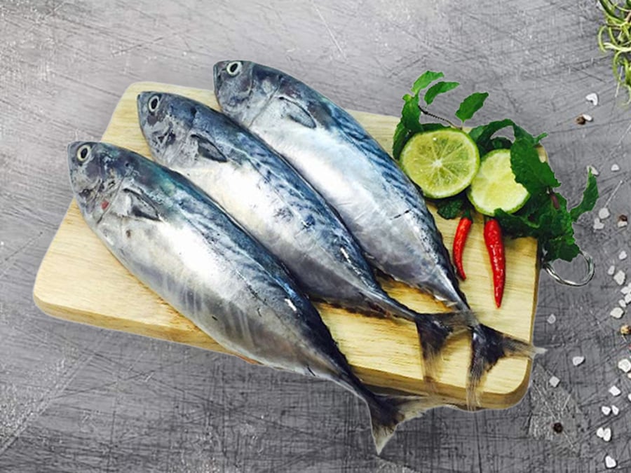 ca-ngu-o-hap-tui-1kg-202108302014162624