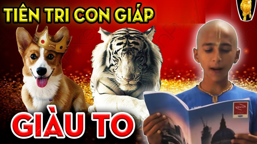 con-giap-doi-doi