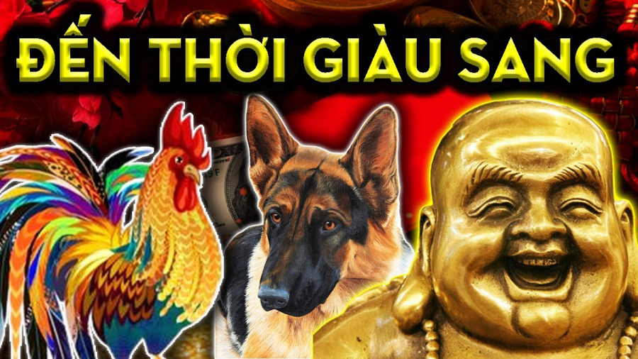 con-giap-doi-doi1