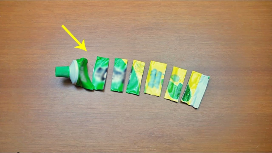 ca-tuyp-kem-danh-rang-01