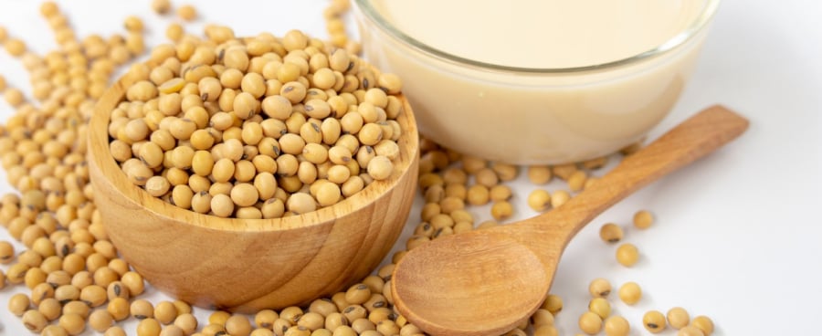 thuc-pham-giau-estrogen-02