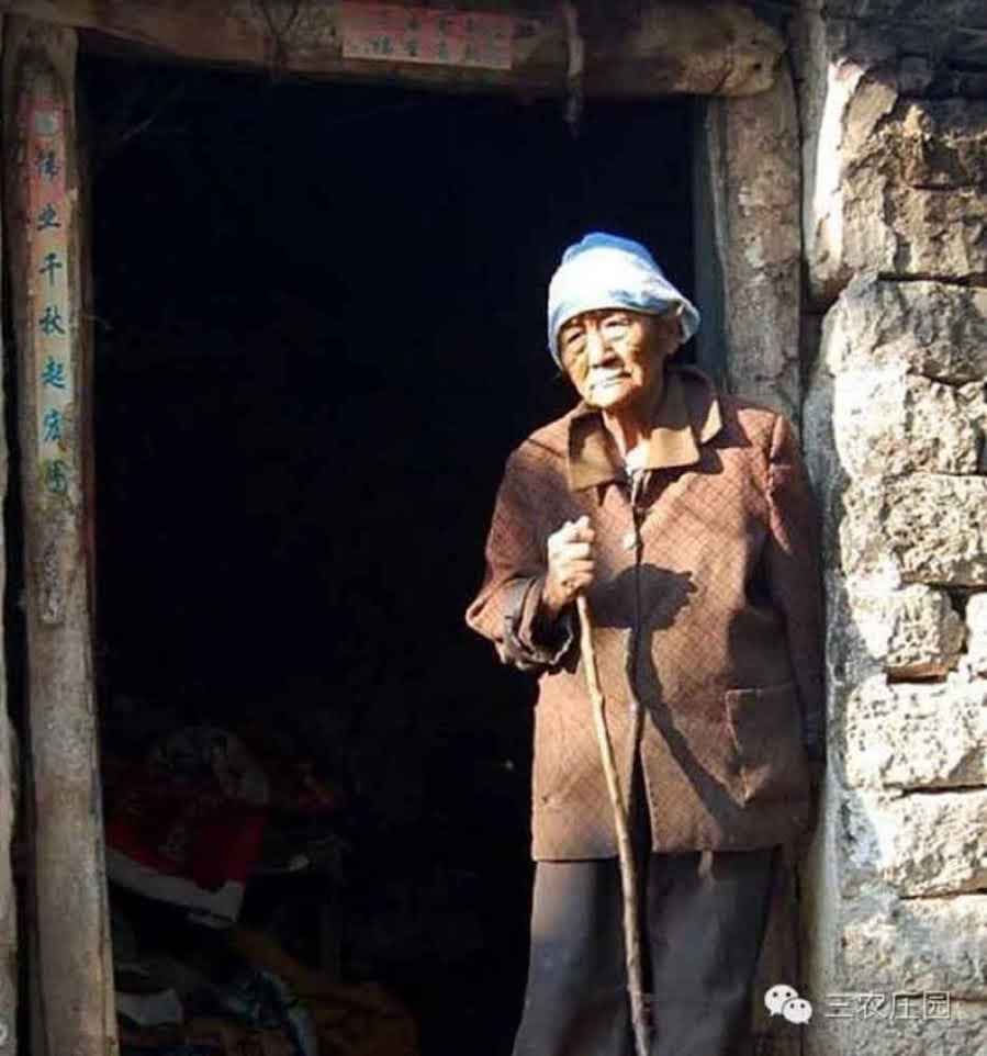 (ảnh minh họa)