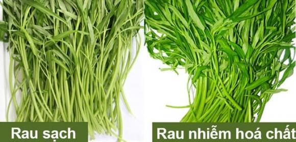 cach-nhan-biet-rau-muong-sach-don-gian-1-ea83-ngoisaovn-w650-h313