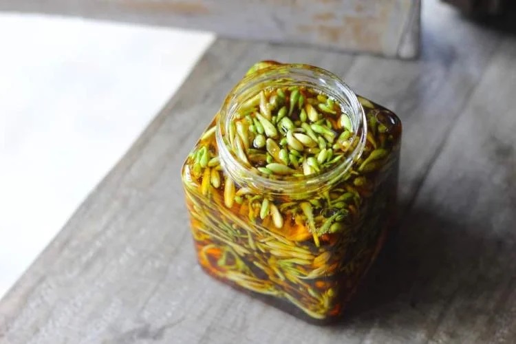 3-thu-ngam-voi-mat-ong-02