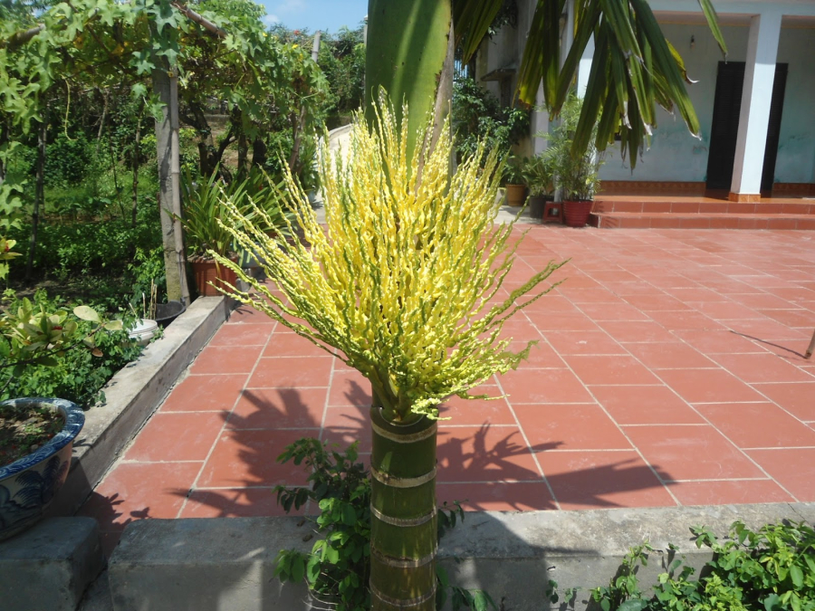 DSC03410