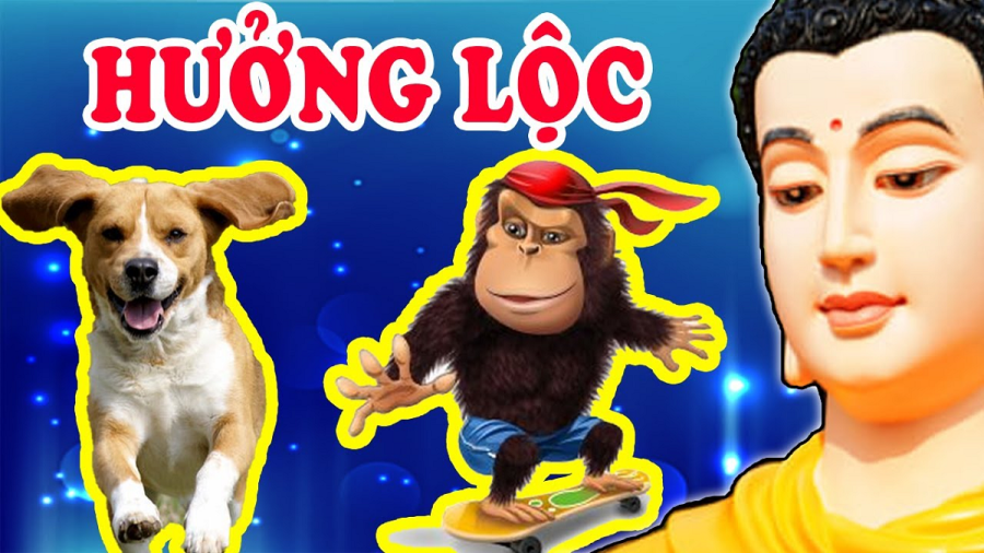 con-giap-qua-con-bi-cuc