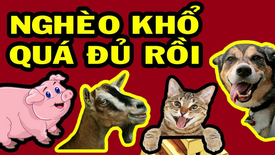 con-giap-ngheo-du-roi