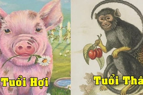 tuoi-than-hoi