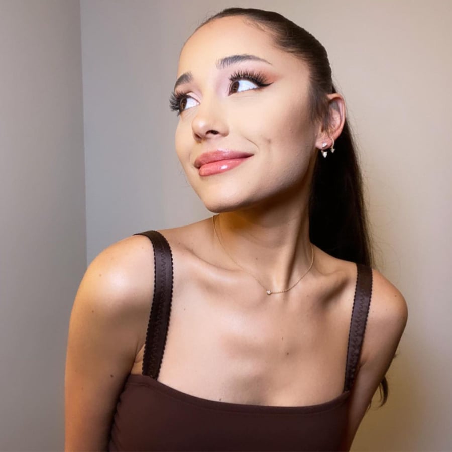 arianagrandebrunette-f667a0831bb347e195663c57f55a9ac8