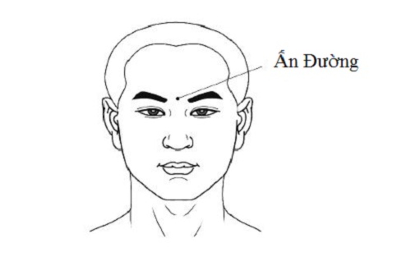 not-ruoi-phu-quy-01