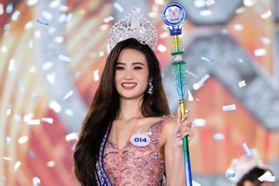 biet-danh-hoc-luc-khung-cua-tan-hoa-hau-the-gioi-viet-nam-2023-y-nhi-1263