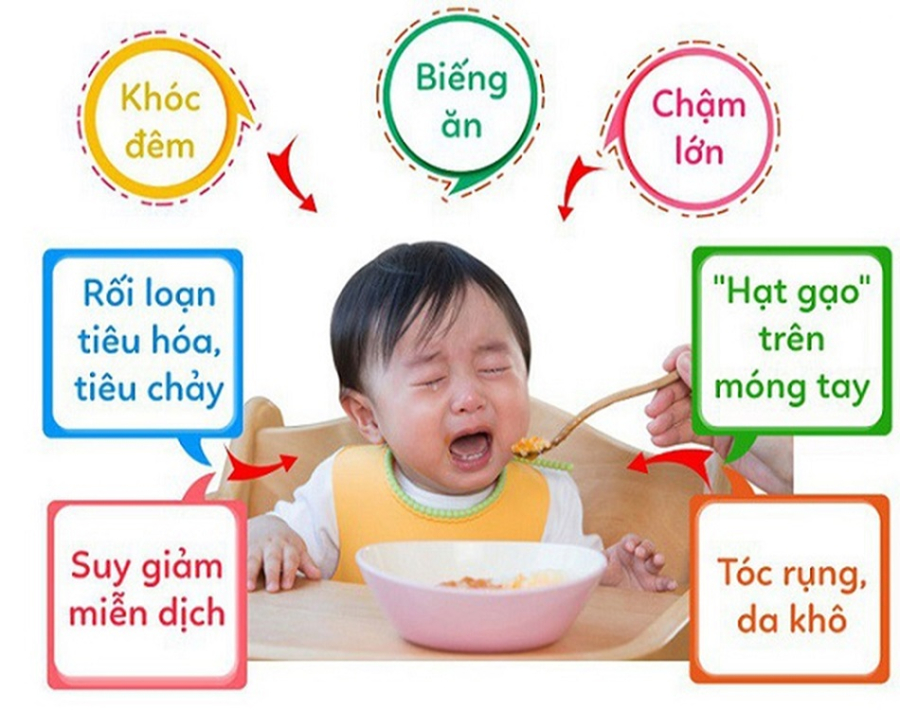 Trong những năm đầu đời, trẻ rất dễ rơi vào trạng thái biếng ăn, chậm lớn, hay ốm vặt khiến cha mẹ lo lắng