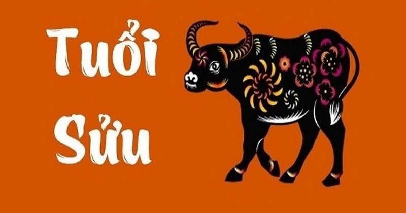 tuoi-suu_1670662847