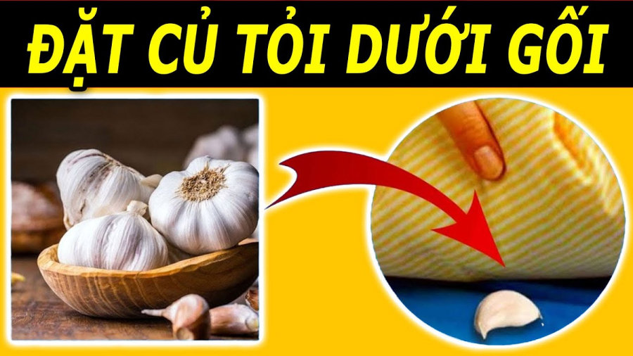 dat-tep-toi-duoi-goi1