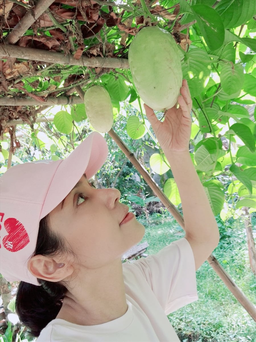 viet trinh an yen