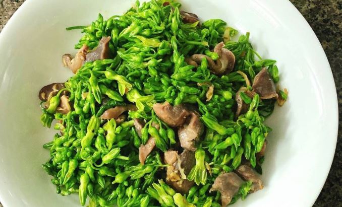 hoa-thien-ly-02