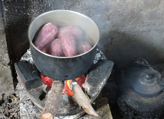 khoai-lang-05