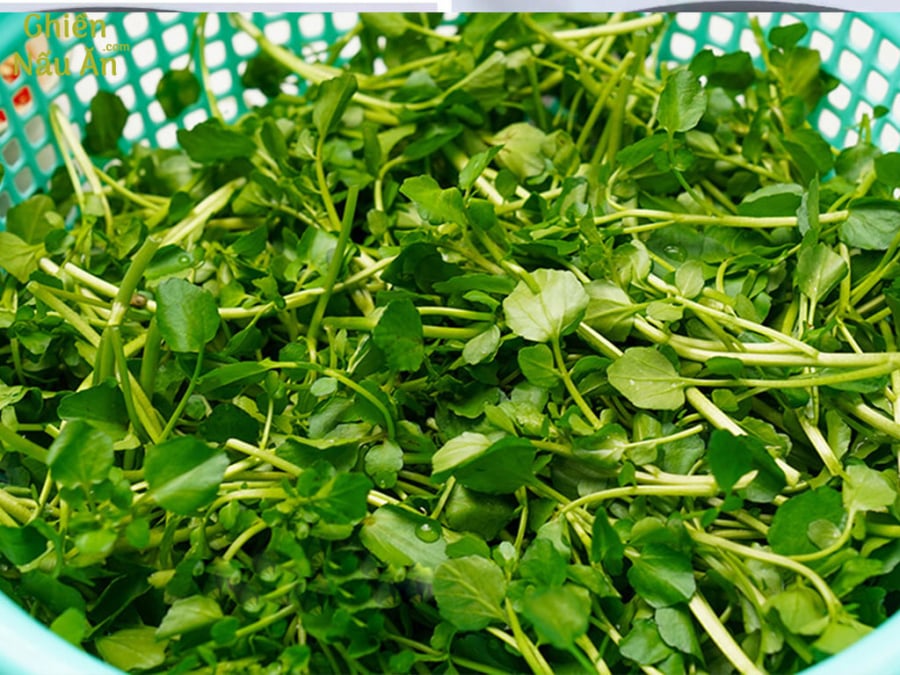 cai xoong