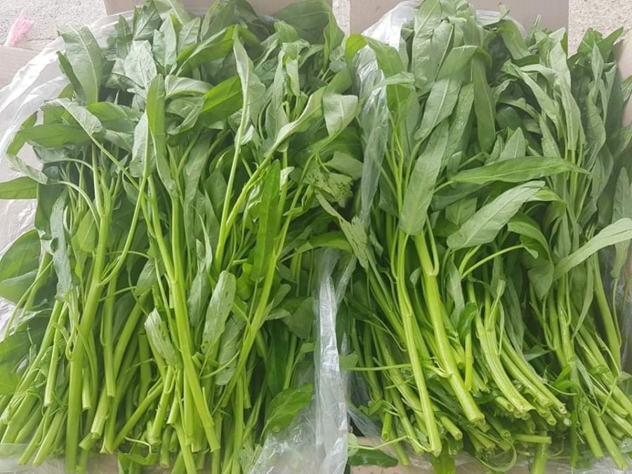 rau-bi-phun-thuoc-01