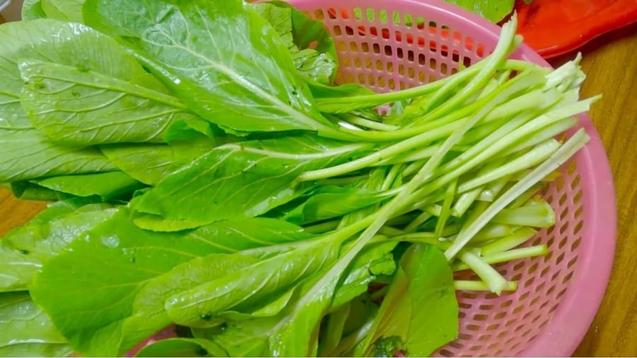 rau-bi-phun-thuoc-03